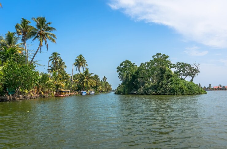 Красивая вода индийского пейзажа в керале с пальмами