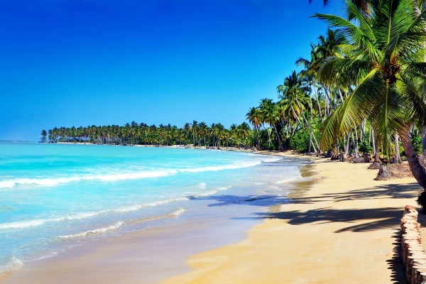 Пляж и пальмы